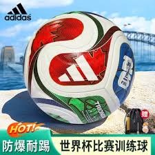 刘殿座成成都蓉城最佳门将 球迷热情高涨期待未来表现
